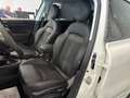 Fiat 500X 1.5 t4 hybrid Sport 130cv dct Bianco - thumbnail 12