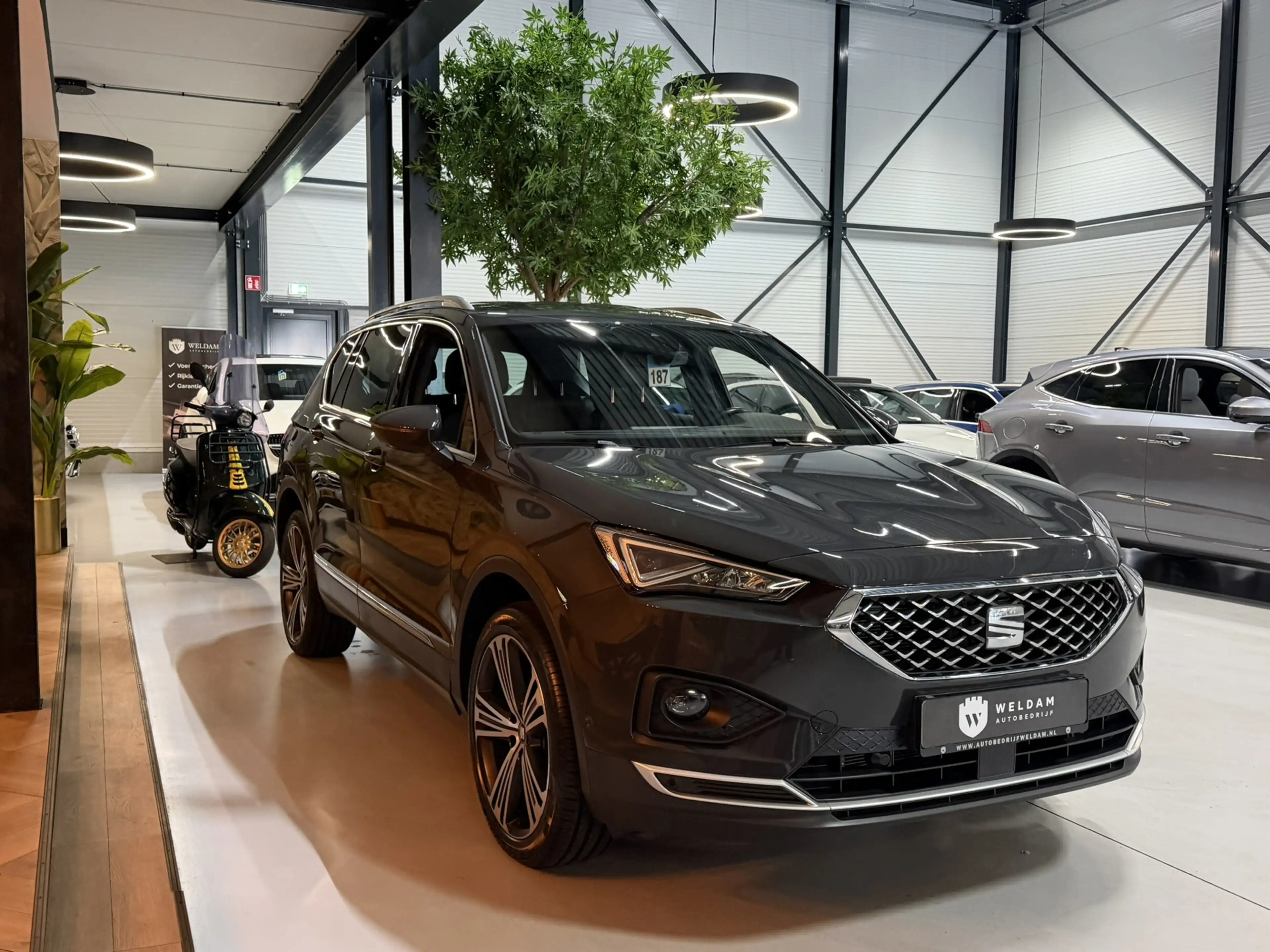 SEAT Tarraco 1.5 TSI Xcellence Garantie|360° Camera|ACC|Lane|Vi — photo 8