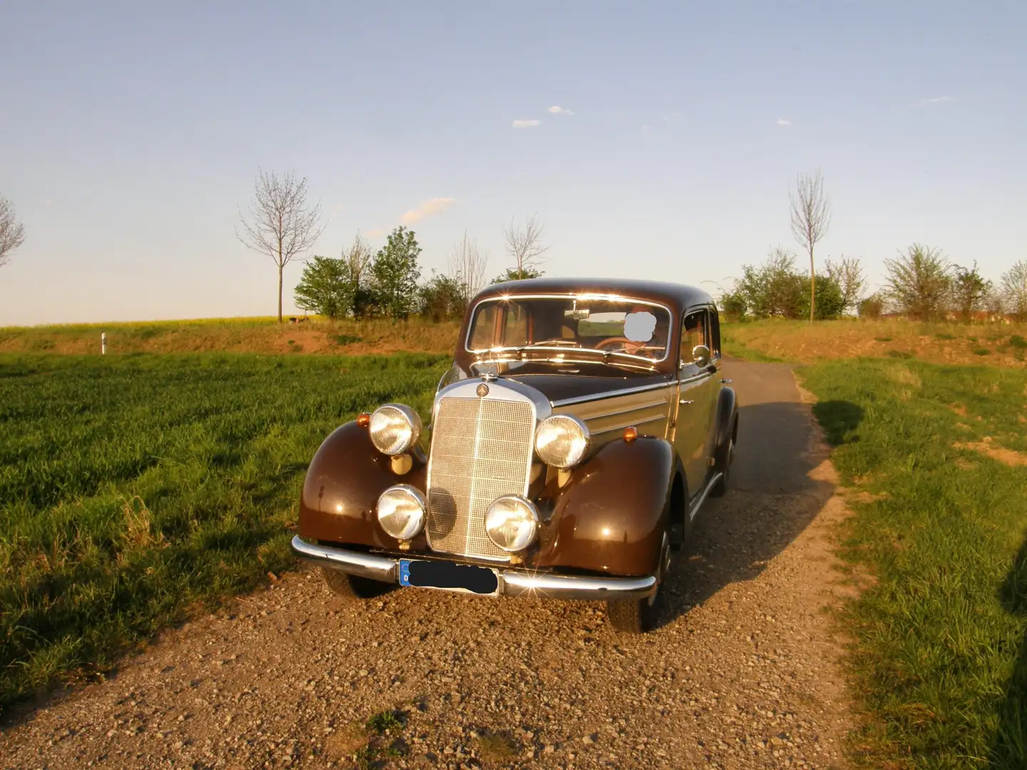 Mercedes-Benz 170 Oldtimer 170 S-D Brun - 2