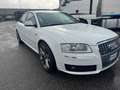 Audi S8 Bianco - thumbnail 3
