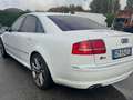 Audi S8 Bianco - thumbnail 4