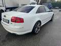 Audi S8 Bianco - thumbnail 6