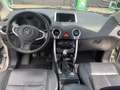 Renault Koleos Night&Day - thumbnail 6