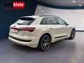 Audi e-tron 55 quattro advanced Beige - thumbnail 6