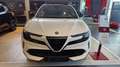 Alfa Romeo Junior 156 CV BEV Speciale + TETTO APRIBILE Bianco - thumbnail 2