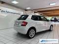 Skoda Fabia Joy 1.0 MPI Sperrdiff. Klimaautom DAB SHZ Notbrems Weiß - thumbnail 4