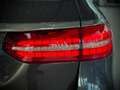 Mercedes-Benz E 220 d T AVANTGARDE+AHK+MBUX+WIDE+SHZ Gris - thumbnail 6