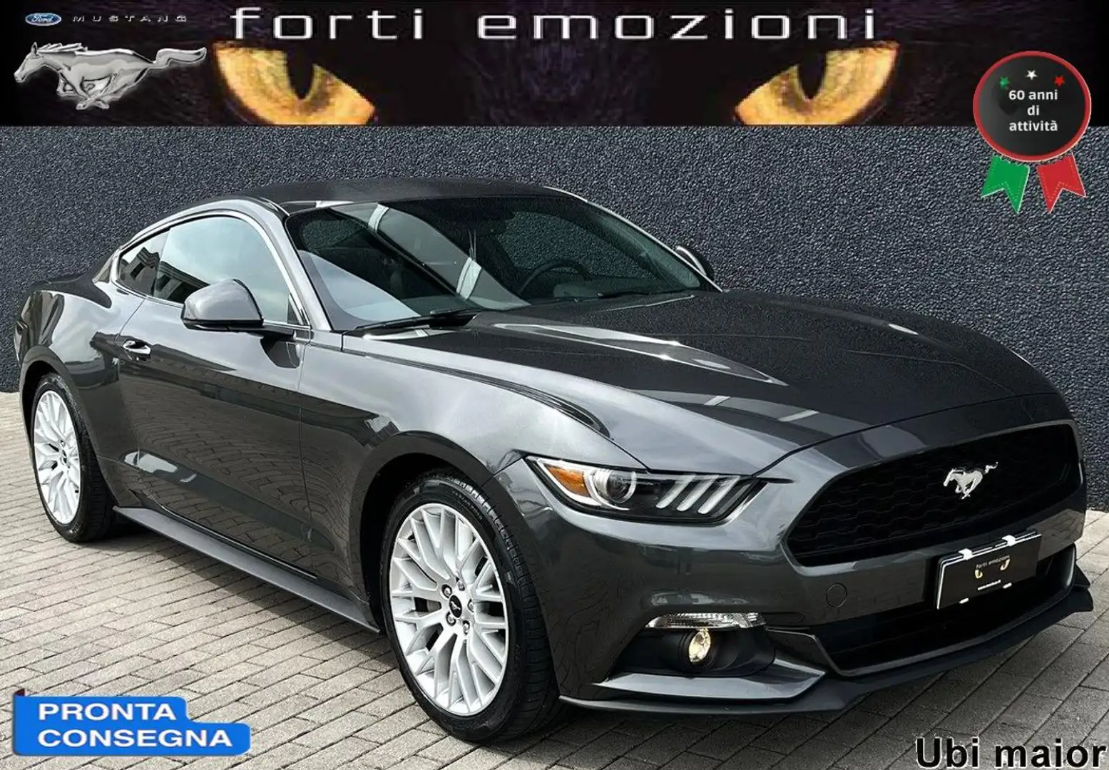 Ford Mustang Fastback 2.3 LIMITED Szürke - 2