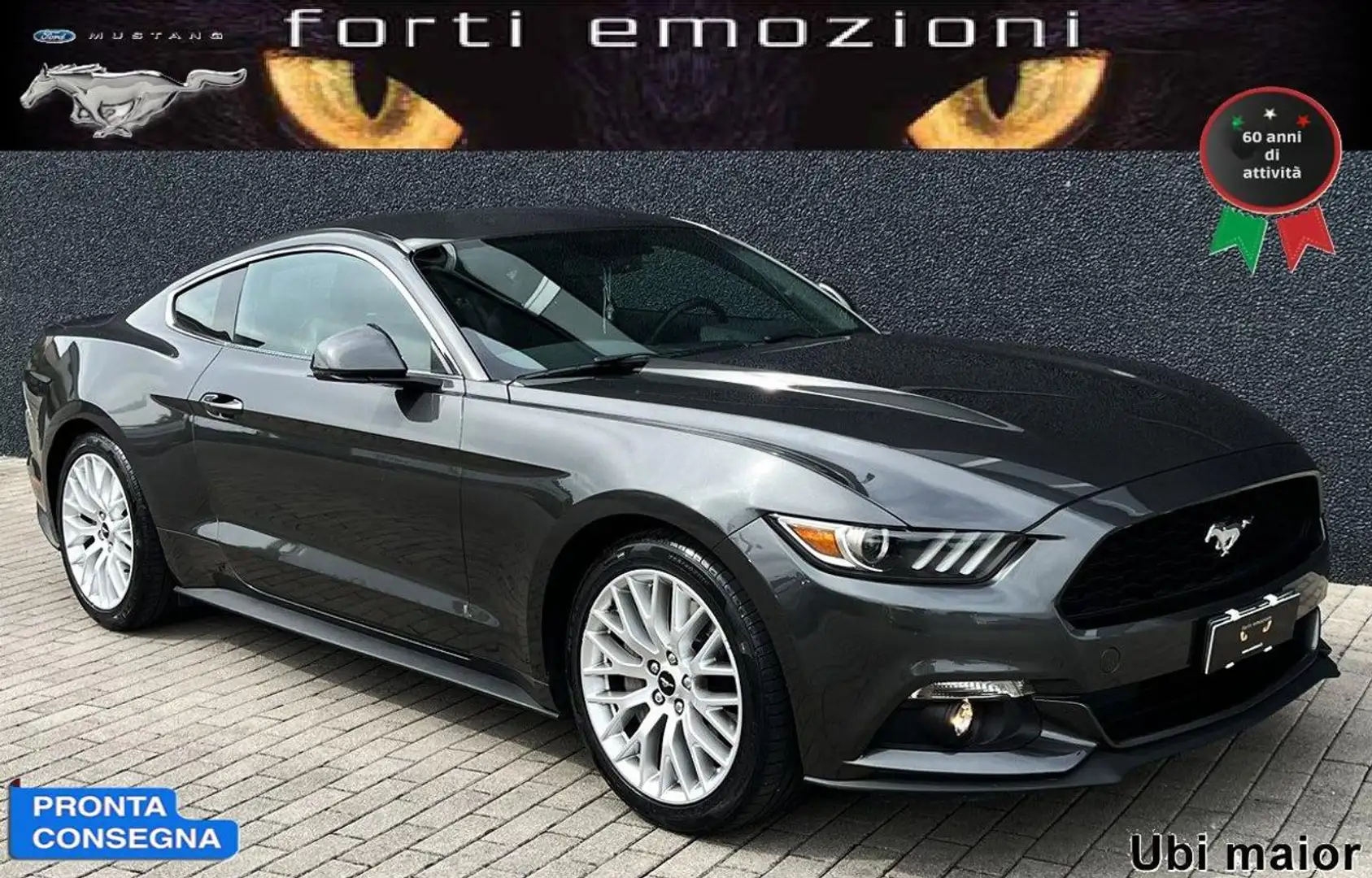 Ford Mustang Fastback 2.3 LIMITED Szürke - 1