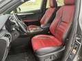 Lexus NX 300h 2.5 FSport AWD Grey - thumbnail 11