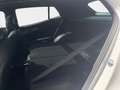 Kia Sportage 1.6 T-GDI +PHEV +GT Line+Panorama+Leder+ Biały - thumbnail 13