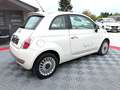 Fiat 500 1.2i--GARANTIE 12 MOIS-- Bianco - thumbnail 6