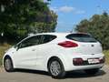 Kia Ceed / cee'd Edition Titan 7*12 MONATE GARANTIE* Weiß - thumbnail 6