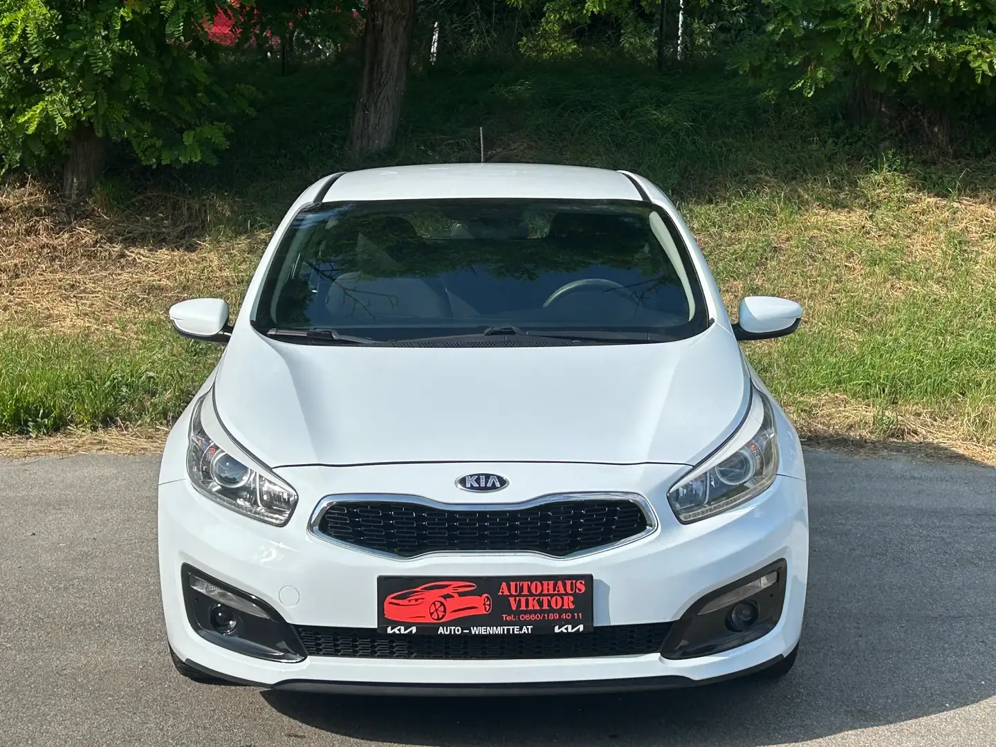 Kia Ceed / cee'd Edition Titan 7*12 MONATE GARANTIE* Weiß - 2