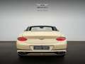 Bentley Continental GTC V8 *Mulliner Range* Gelb - thumbnail 25