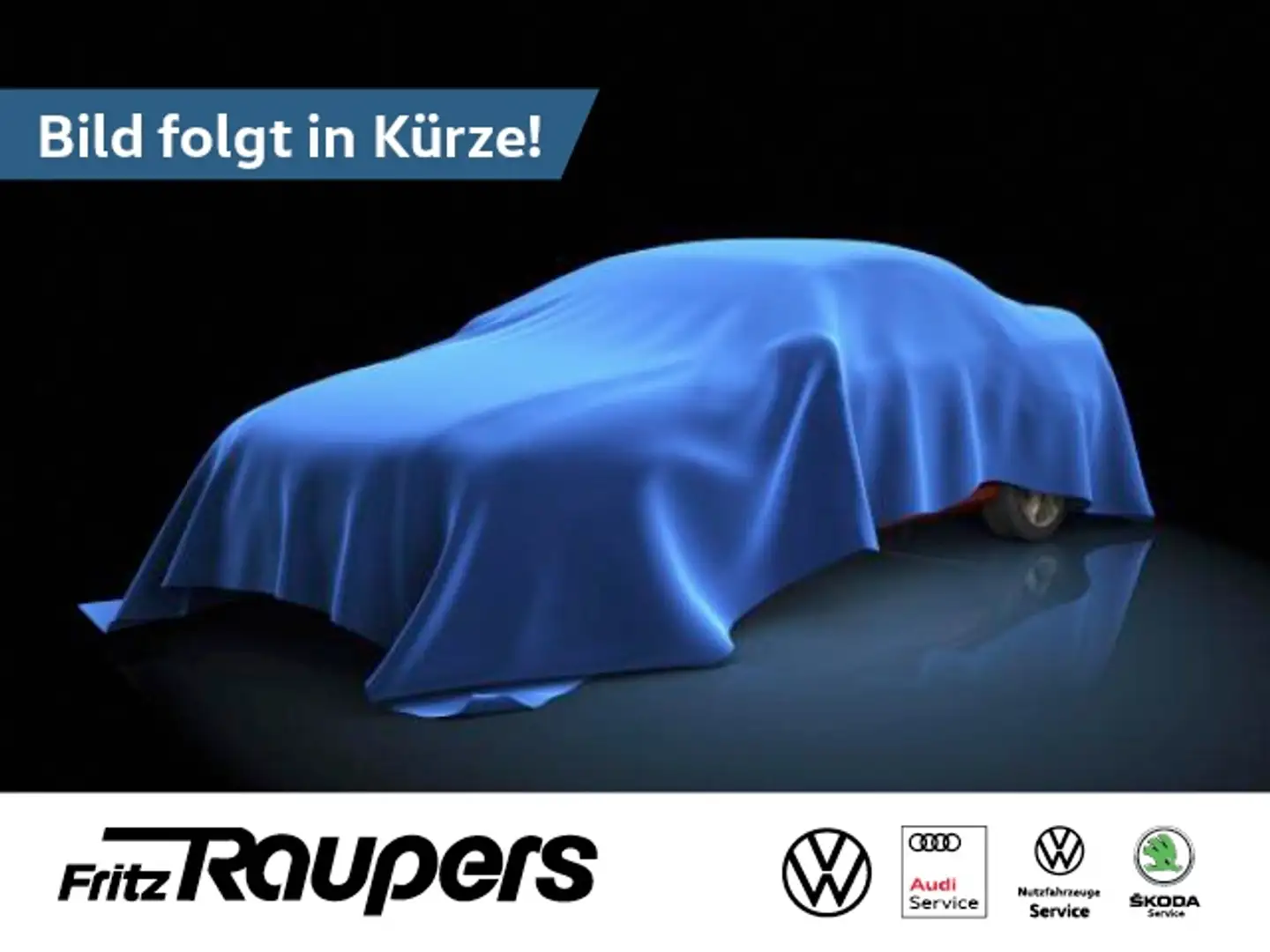 Volkswagen Golf Variant "GOAL"  2,0 l TDI SCR 7-Gang-DSG Silber - 2
