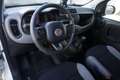 Fiat Panda FIAT Panda 1.0 FireFly S&S Hybrid Sport PROMOZION Bianco - thumbnail 14