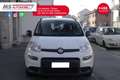 Fiat Panda FIAT Panda 1.0 FireFly S&S Hybrid Sport PROMOZION Bianco - thumbnail 9