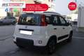 Fiat Panda FIAT Panda 1.0 FireFly S&S Hybrid Sport PROMOZION Bianco - thumbnail 13
