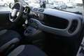 Fiat Panda FIAT Panda 1.0 FireFly S&S Hybrid Sport PROMOZION Bianco - thumbnail 8