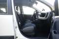Fiat Panda FIAT Panda 1.0 FireFly S&S Hybrid Sport PROMOZION Bianco - thumbnail 10
