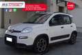 Fiat Panda FIAT Panda 1.0 FireFly S&S Hybrid Sport PROMOZION Bianco - thumbnail 11