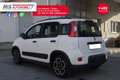 Fiat Panda FIAT Panda 1.0 FireFly S&S Hybrid Sport PROMOZION Bianco - thumbnail 15