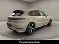 Porsche Cayenne GTS Carbon-Deisgn Sportabgas LED-Matrix Weiß - thumbnail 5