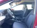 SEAT Ibiza 1.0 TSI Road Edition VIRTUAL*NAVI*LED*ACC*PDC*S... Rot - thumbnail 11