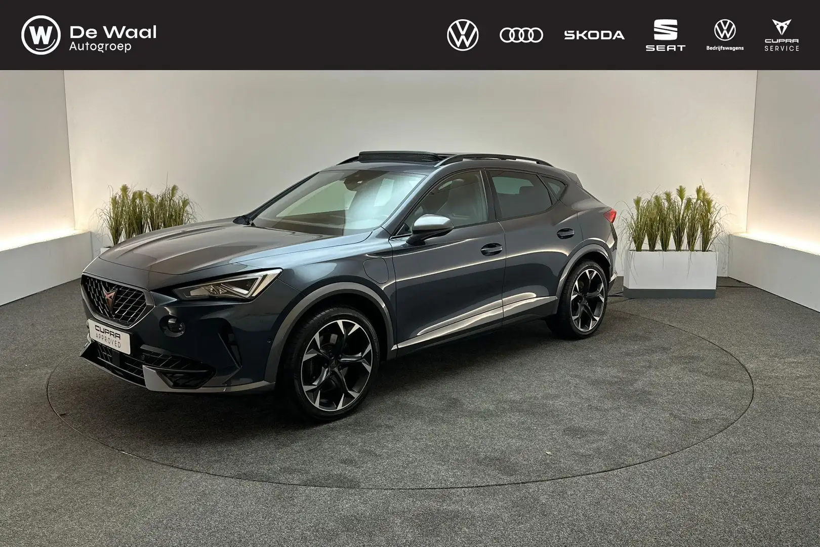 CUPRA Formentor 1.4 245pk DSG e-Hybrid VZ Performance | Park Assis Gris - 1