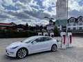 Tesla Model 3 Model 3 Long Range AWD 75kWh Weiß - thumbnail 3