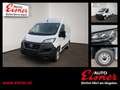 Fiat Ducato KW L2H2 3300 120 MT Weiß - thumbnail 1