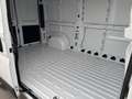Fiat Ducato KW L2H2 3300 120 MT Weiß - thumbnail 9