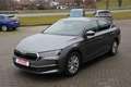 Skoda Octavia DSG Selection LED Sunset wireless CAM Navigation Grau - thumbnail 10