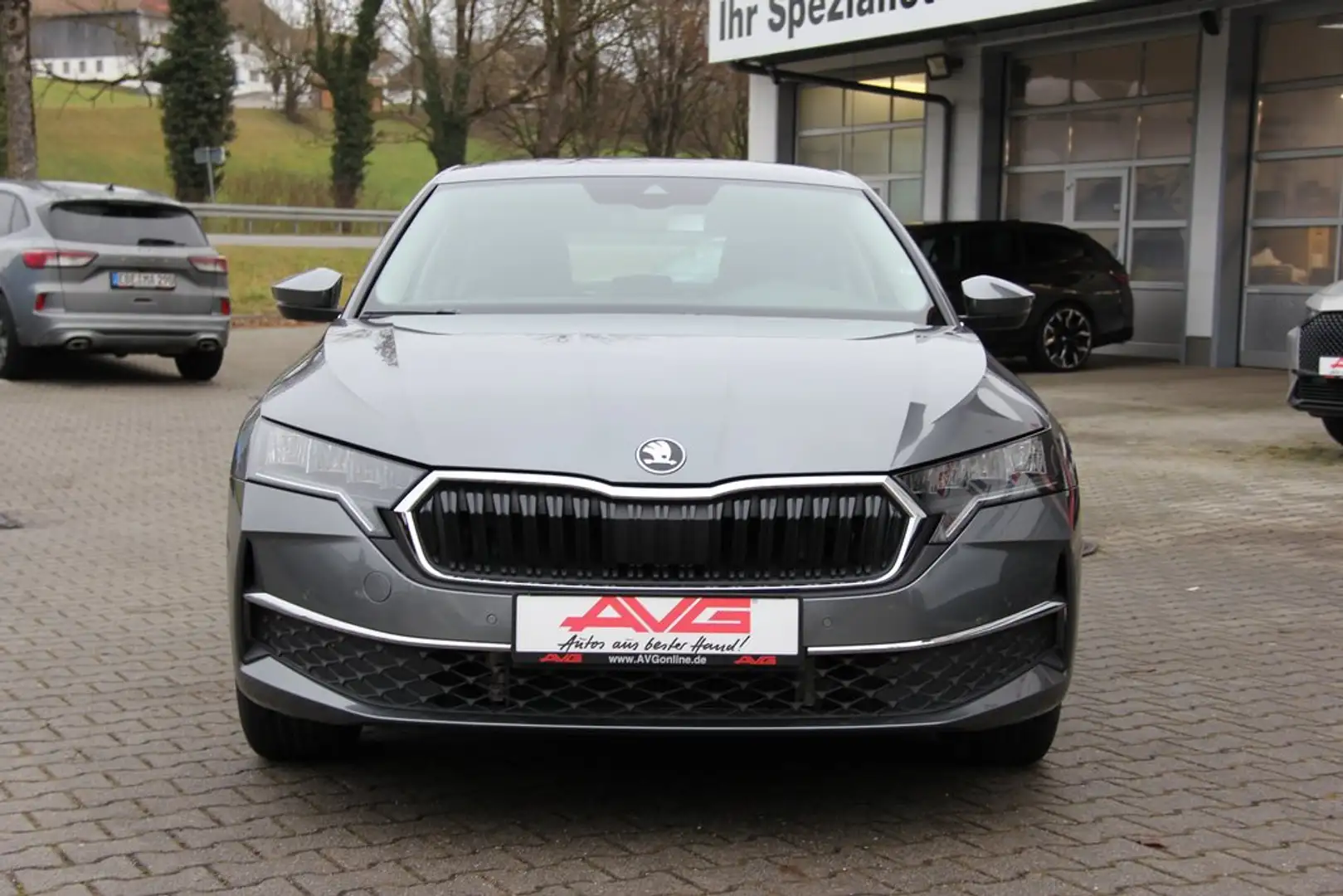 Skoda Octavia DSG Selection LED Sunset wireless CAM Navigation Grau - 2