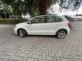 Volkswagen Polo Highline 1.2 TSI BlueMotion Bianco - thumbnail 6