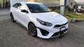 Kia ProCeed / pro_cee'd 1.5 t-gdi mhev GT Line 160cv dct - thumbnail 2