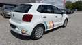 Volkswagen Polo 1.0 4-türig Klima Weiß - thumbnail 5