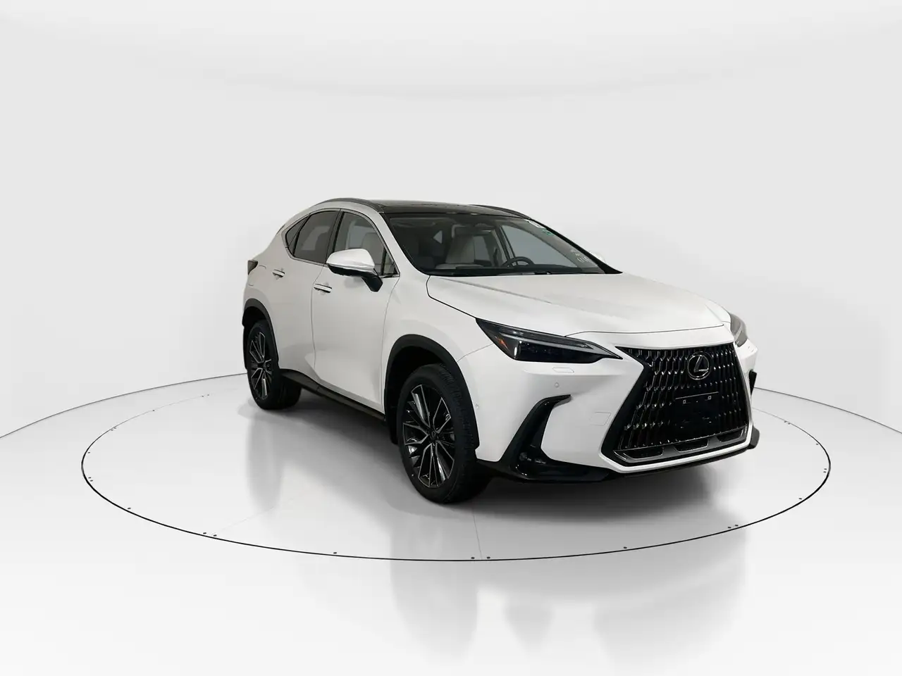2026 Lexus NX photo 2026 Lexus NX