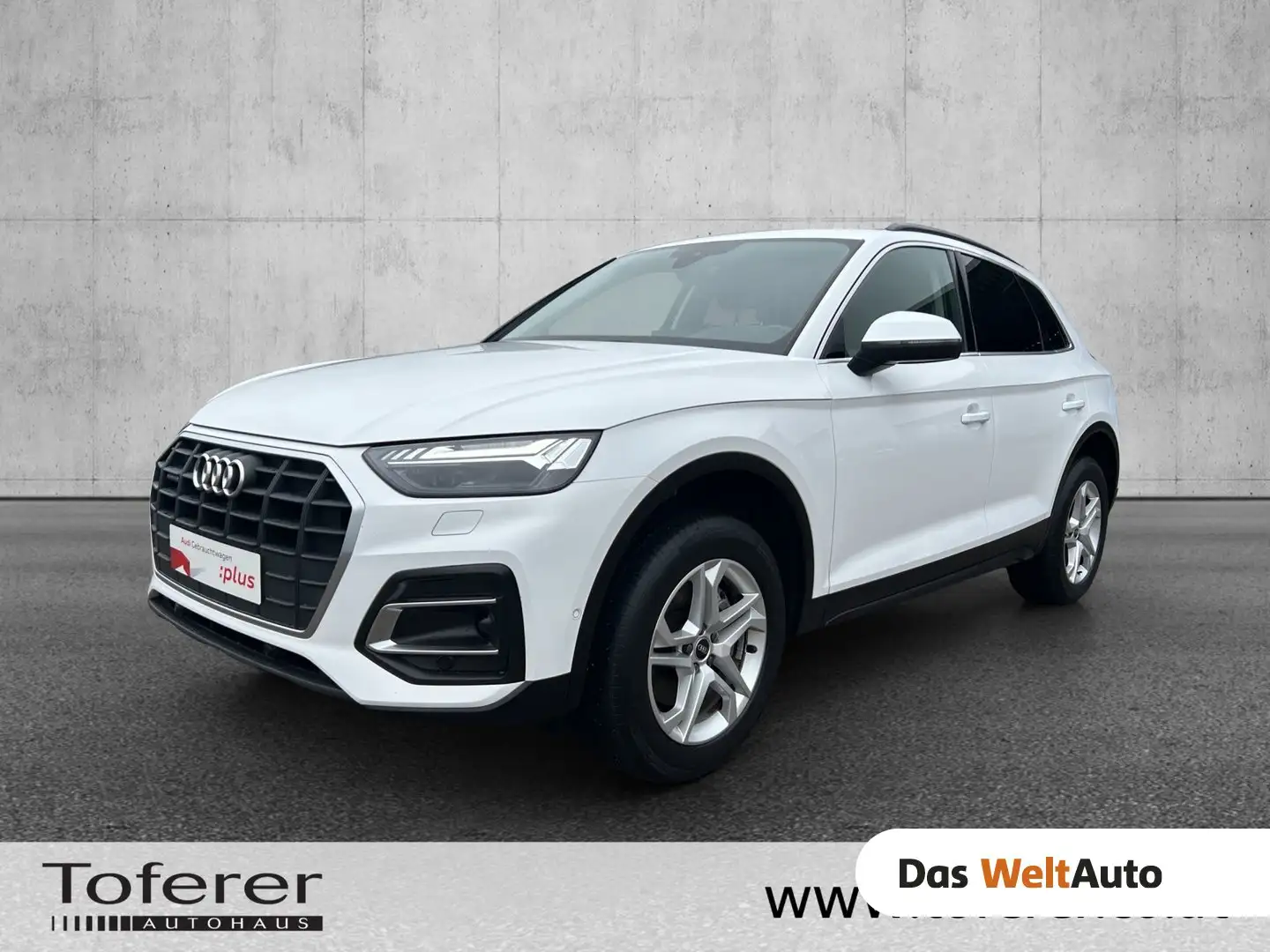 Audi Q5 40 TDI quattro intense Weiß - 1