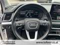 Audi Q5 40 TDI quattro intense Weiß - thumbnail 14