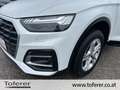 Audi Q5 40 TDI quattro intense Weiß - thumbnail 7