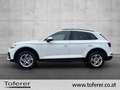 Audi Q5 40 TDI quattro intense Weiß - thumbnail 3