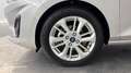 Ford Fiesta 1.0 EcoBoost Hybrid 125ch Titanium Business Powershift 5p - thumbnail 18