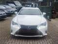Lexus RC 300h RC 300h F SPORT Weiß - thumbnail 2