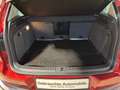 Volkswagen Tiguan 2,0 TDI SCR 4Motion Lou Rot - thumbnail 12
