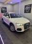 Audi Q3 Xenon/PDC/Navi/ Ab 273 Euro im Monat Blanc - thumbnail 2