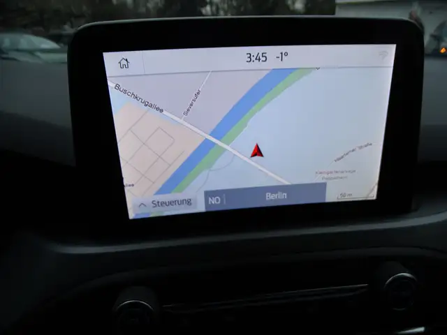 Ford Focus view 14