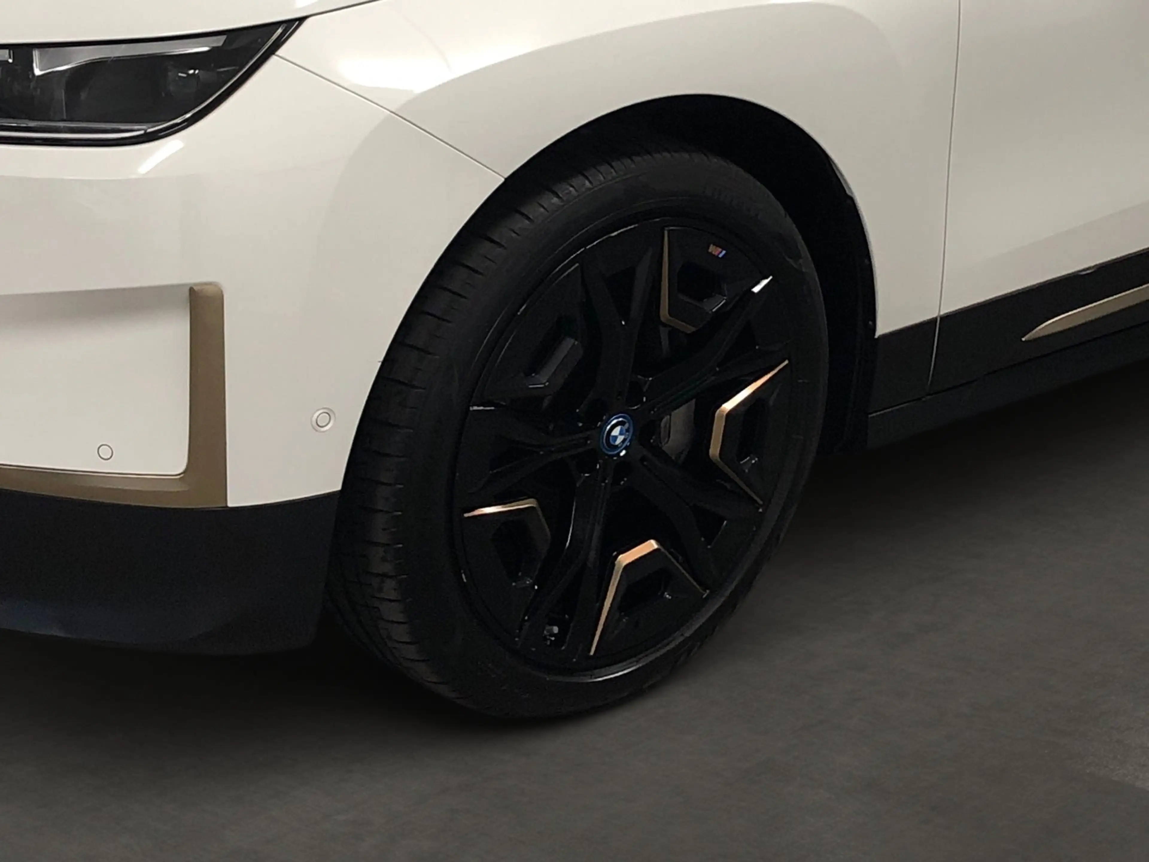BMW iX xDrive40 AHK*Laser*DrivingAssistProf*SkyLounge*Sui — photo 6