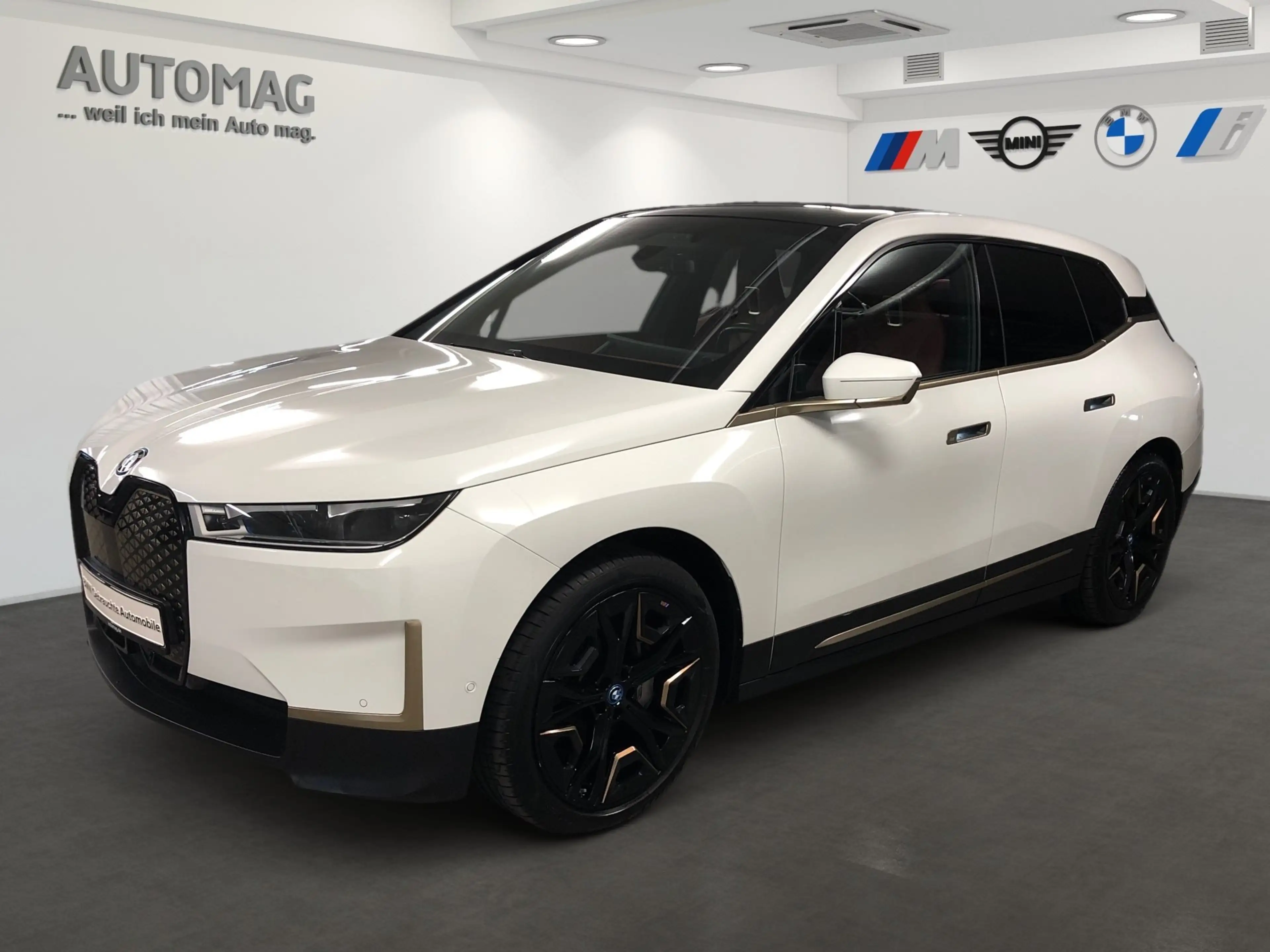 BMW iX xDrive40 AHK*Laser*DrivingAssistProf*SkyLounge*Sui